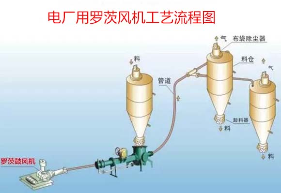 电厂用罗茨鼓看片福利在线案例