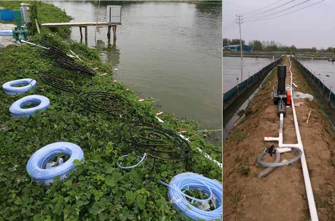 水产养殖罗茨看片福利在线 水产养殖罗茨看片福利在线