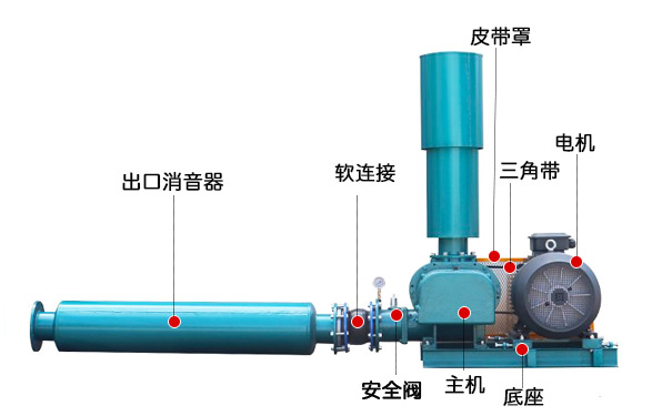 三叶罗茨鼓看片福利在线(图3)