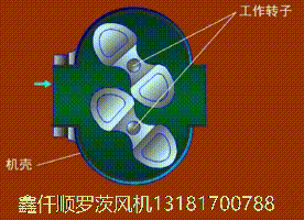 三叶罗茨鼓看片福利在线工作原理gif动画