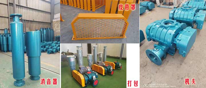 三叶罗茨看片福利在线（皮带型）实拍
