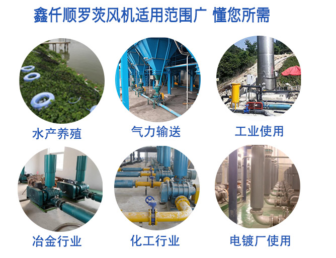 污水处理曝气罗茨看片福利在线适用范围广