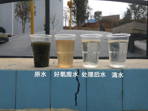 污水曝气罗茨鼓看片福利在线应用案例