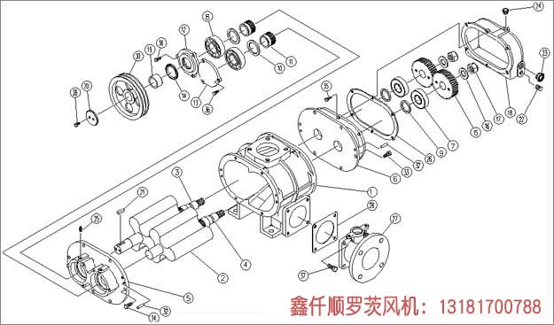 三叶罗茨鼓看片福利在线安装示意图