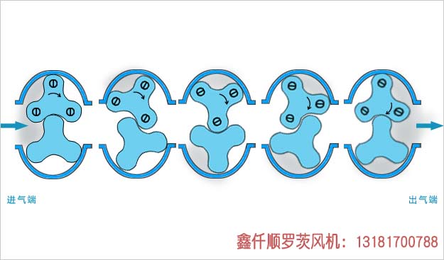罗茨看片福利在线工作原理